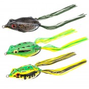 Hollow Body Frogs (5)